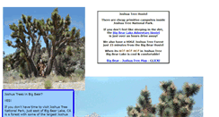 Desktop Screenshot of joshuatreehostel.com